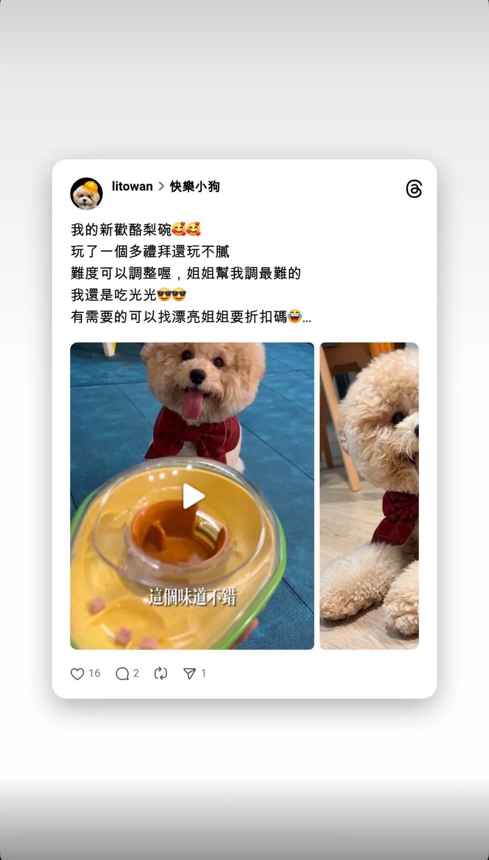 PawQuest 狗狗漏食球 藏食嗅聞玩具