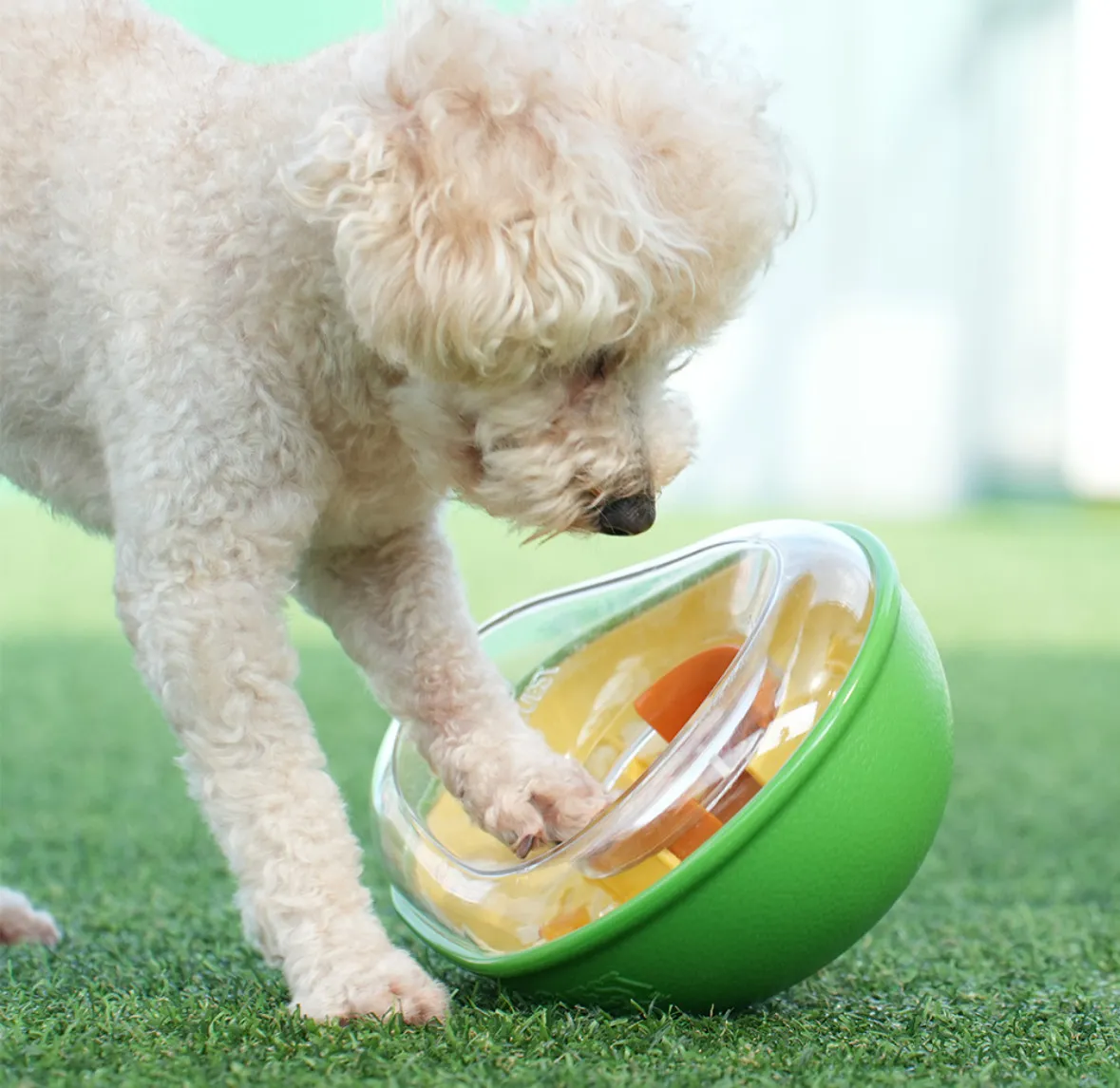 韓國正版 PawQuest 酪梨不倒翁漏食球 狗狗藏食玩具