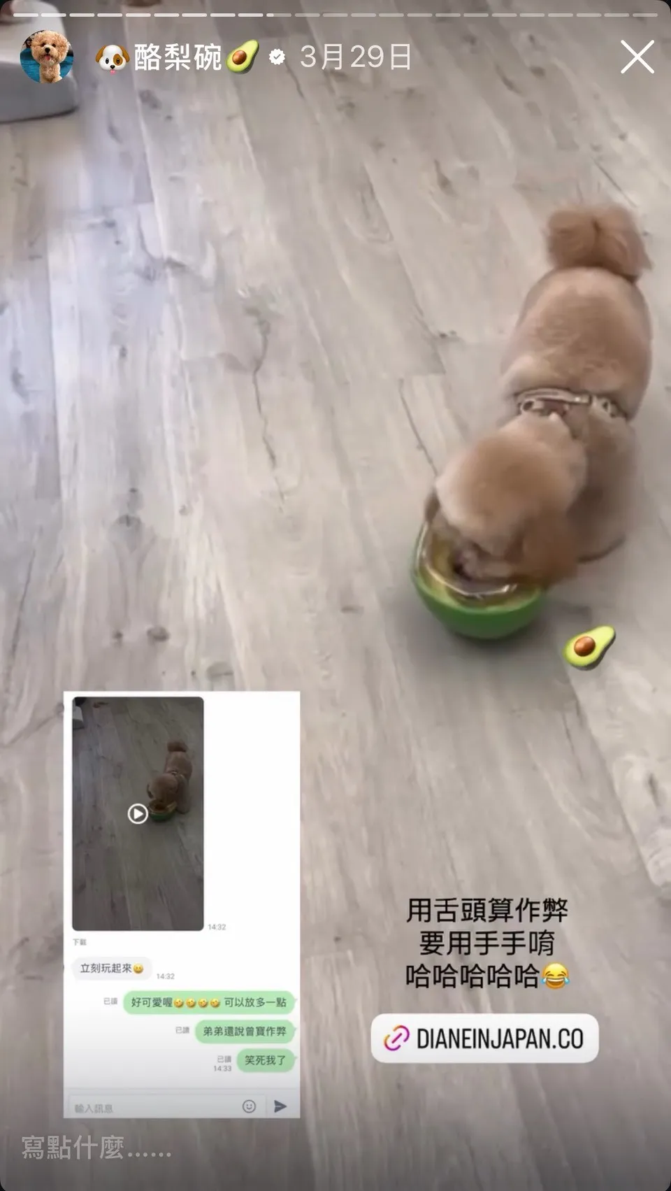 韓國 PawQuest 酪梨球 狗狗漏食玩具