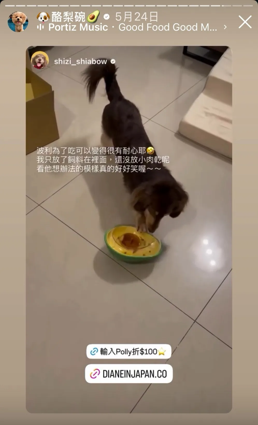 PawQuest 酪梨漏食玩具 韓國製狗狗益智玩具