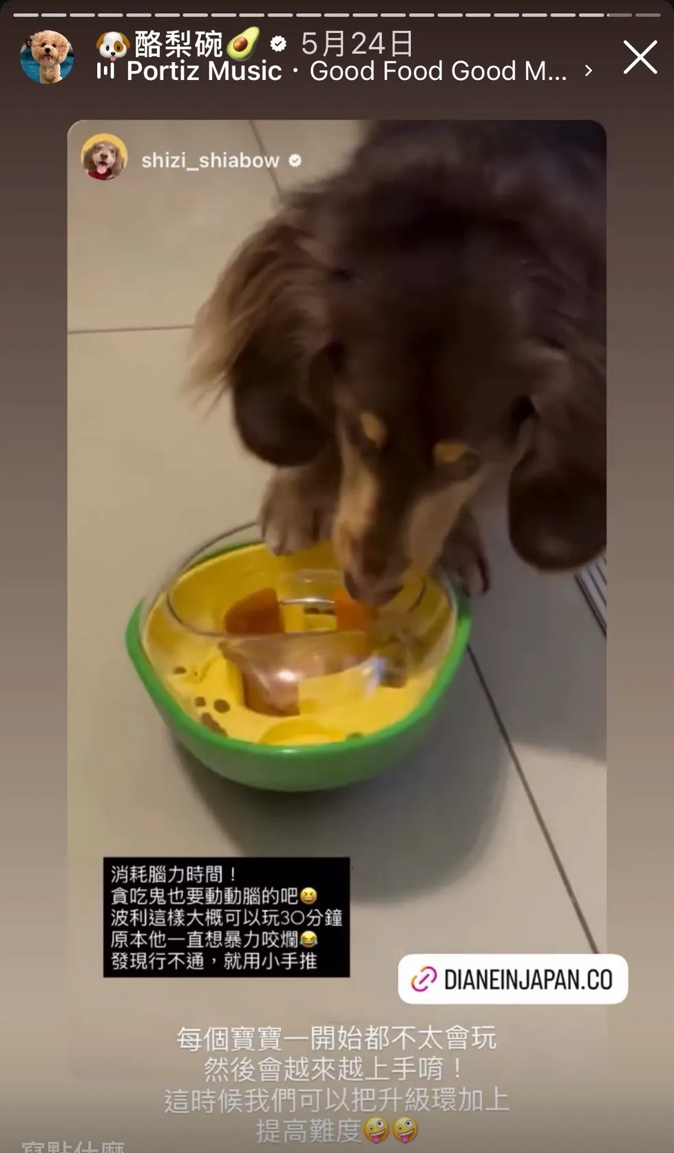 Diane in Japan 韓國 PawQuest 酪梨狗狗藏食玩具