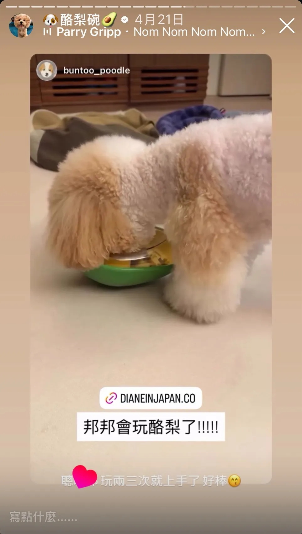 PawQuest 狗狗酪梨藏食玩具商品介紹