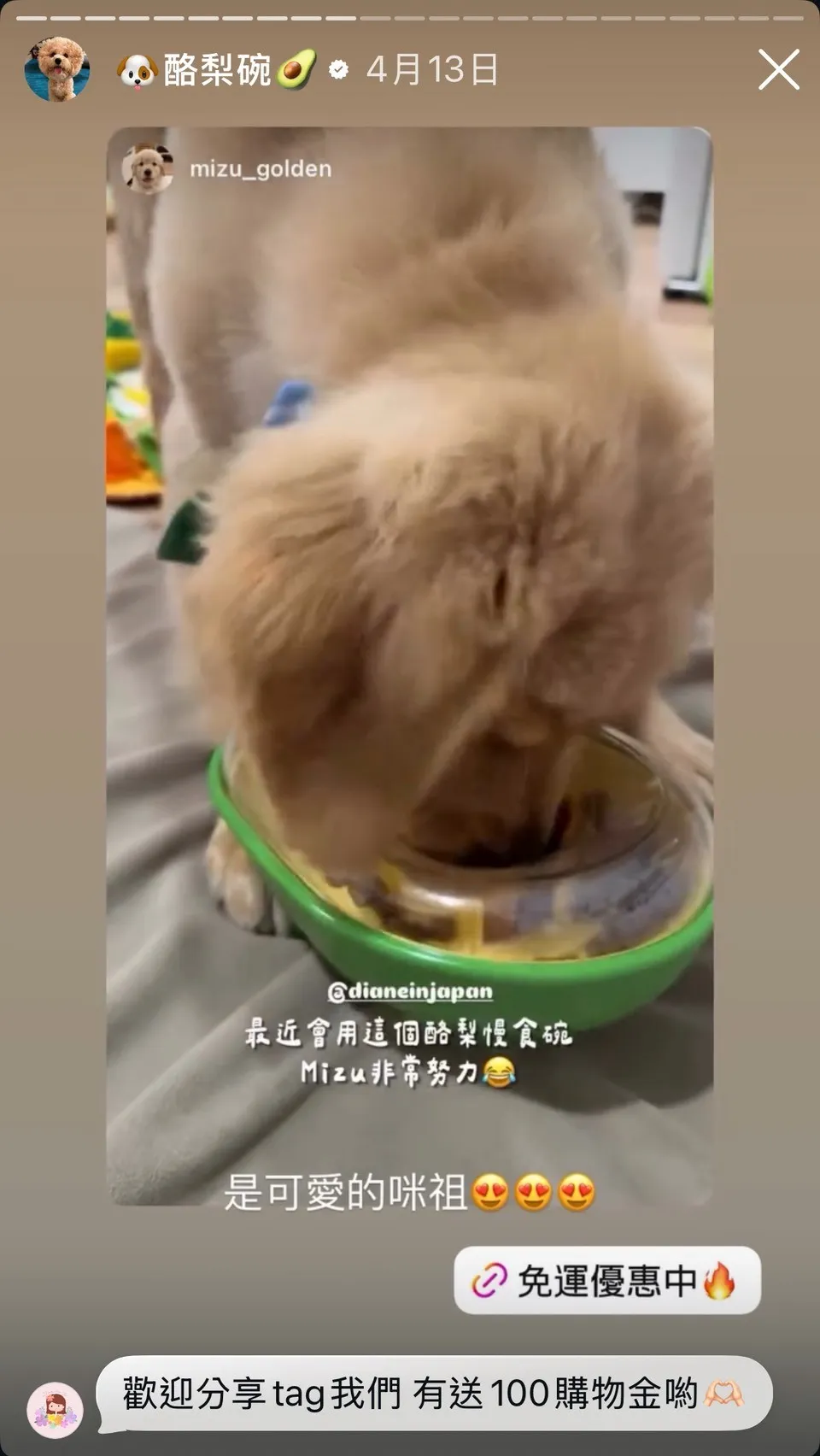 狗狗居家益智玩具 酪梨藏食漏食球