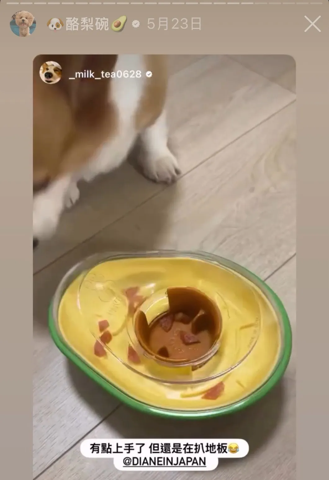 狗狗不倒翁藏食玩具 PawQuest 酪梨漏食球