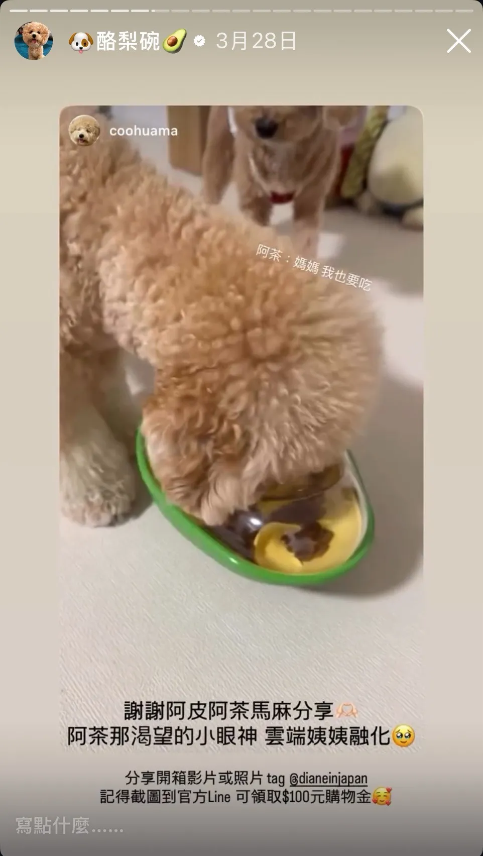 PawQuest 酪梨益智漏食球 狗狗嗅聞玩具