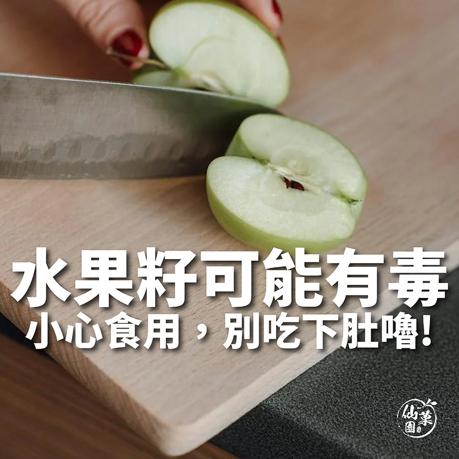 水果籽有毒