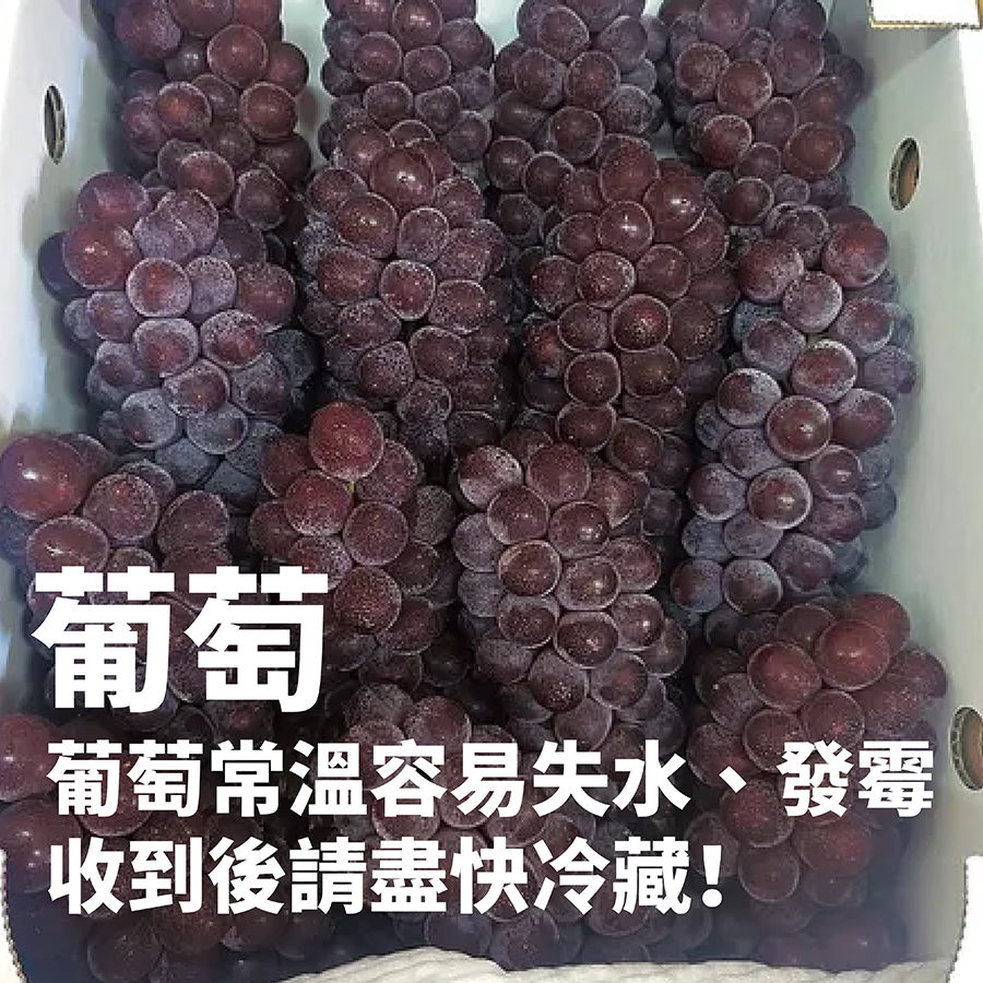 葡萄保存