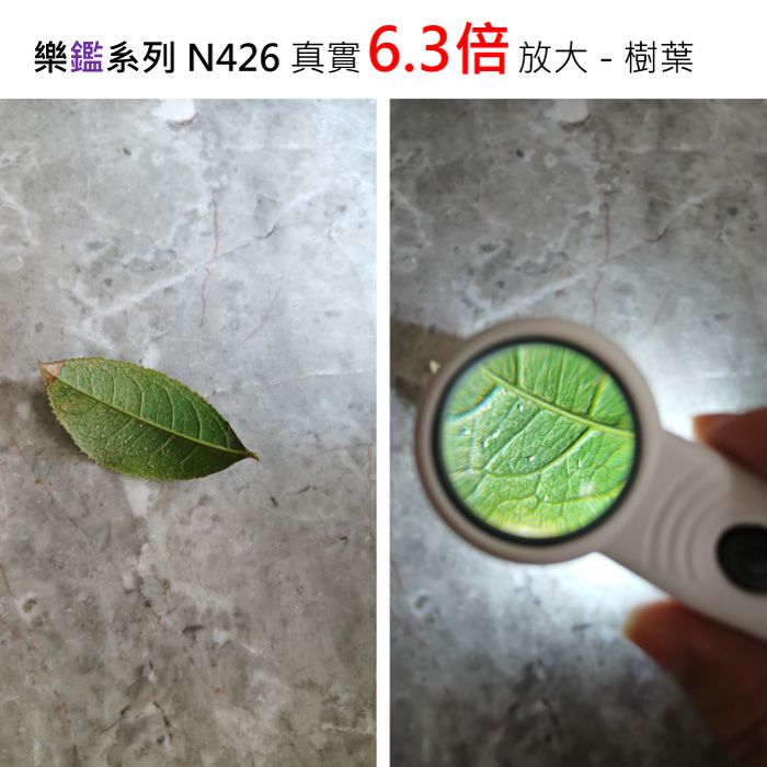 樂鑑系列放大鏡 N426 真實6.5倍放大 樹葉