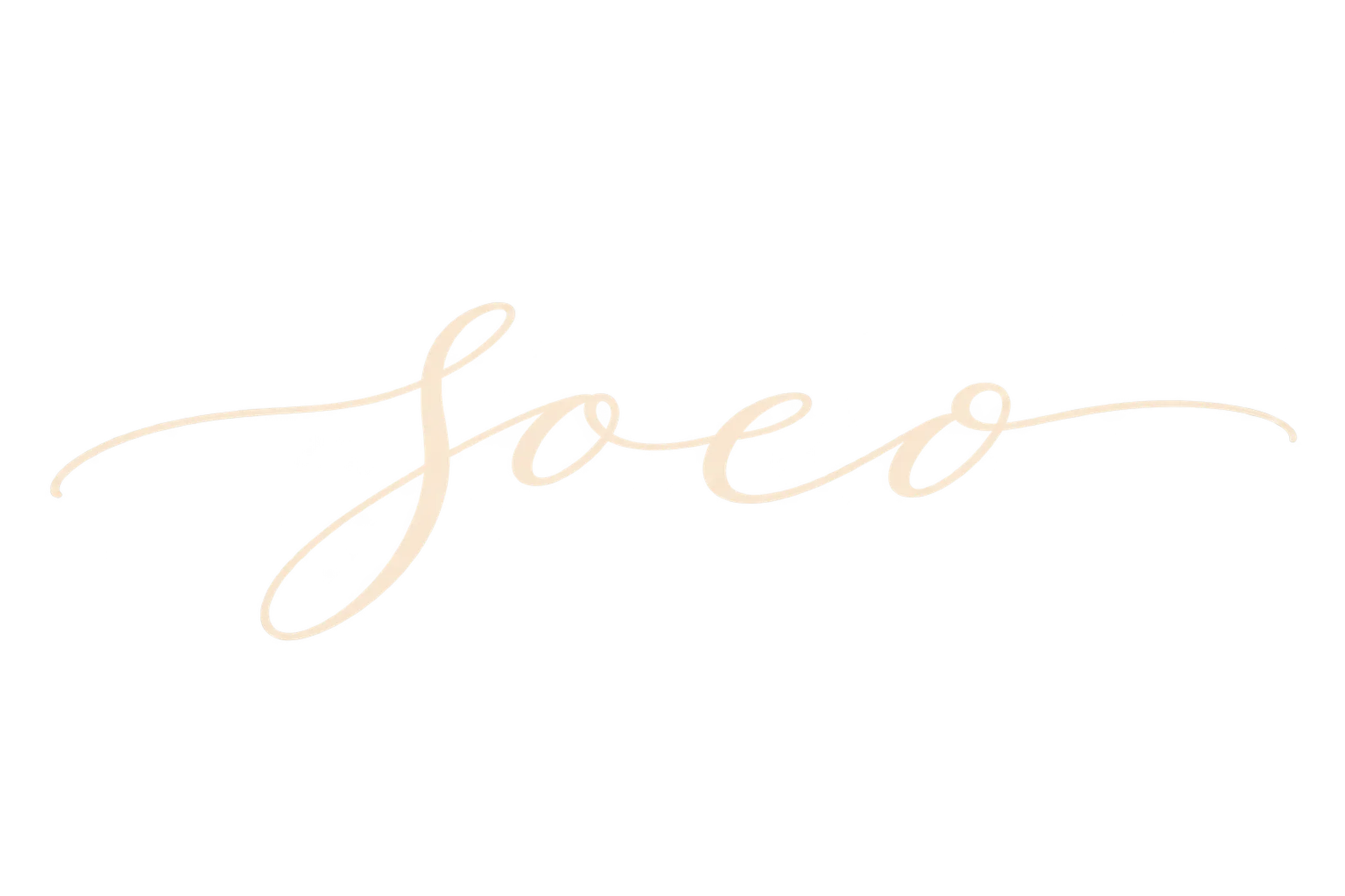 shop-logo